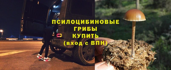 винт Лиски