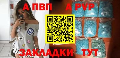 кокс Кингисепп