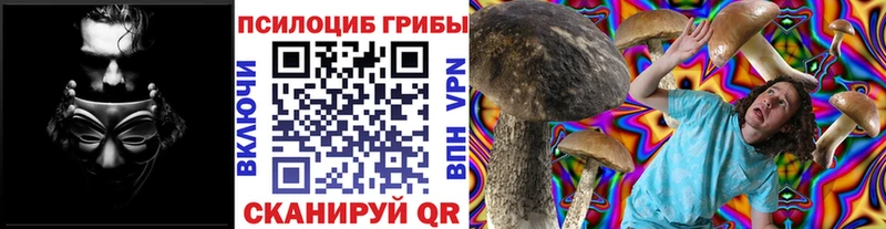 ОМГ ОМГ сайт  Тулун  Галлюциногенные грибы MAGIC MUSHROOMS 