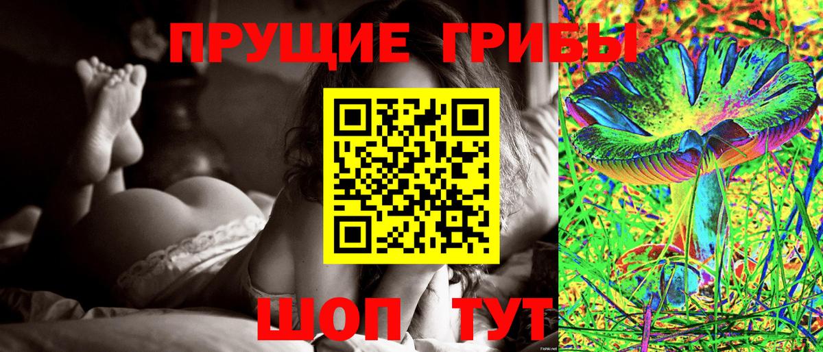 Галлюциногенные грибы Psilocybine cubensis  Тулун 