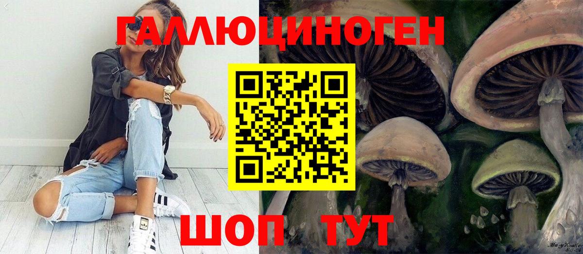 Псилоцибиновые грибы мицелий  Вход с VPN  Тулун  Псилоцибиновые грибы мицелий 