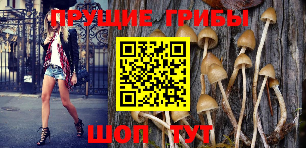 Галлюциногенные грибы GOLDEN TEACHER Тулун